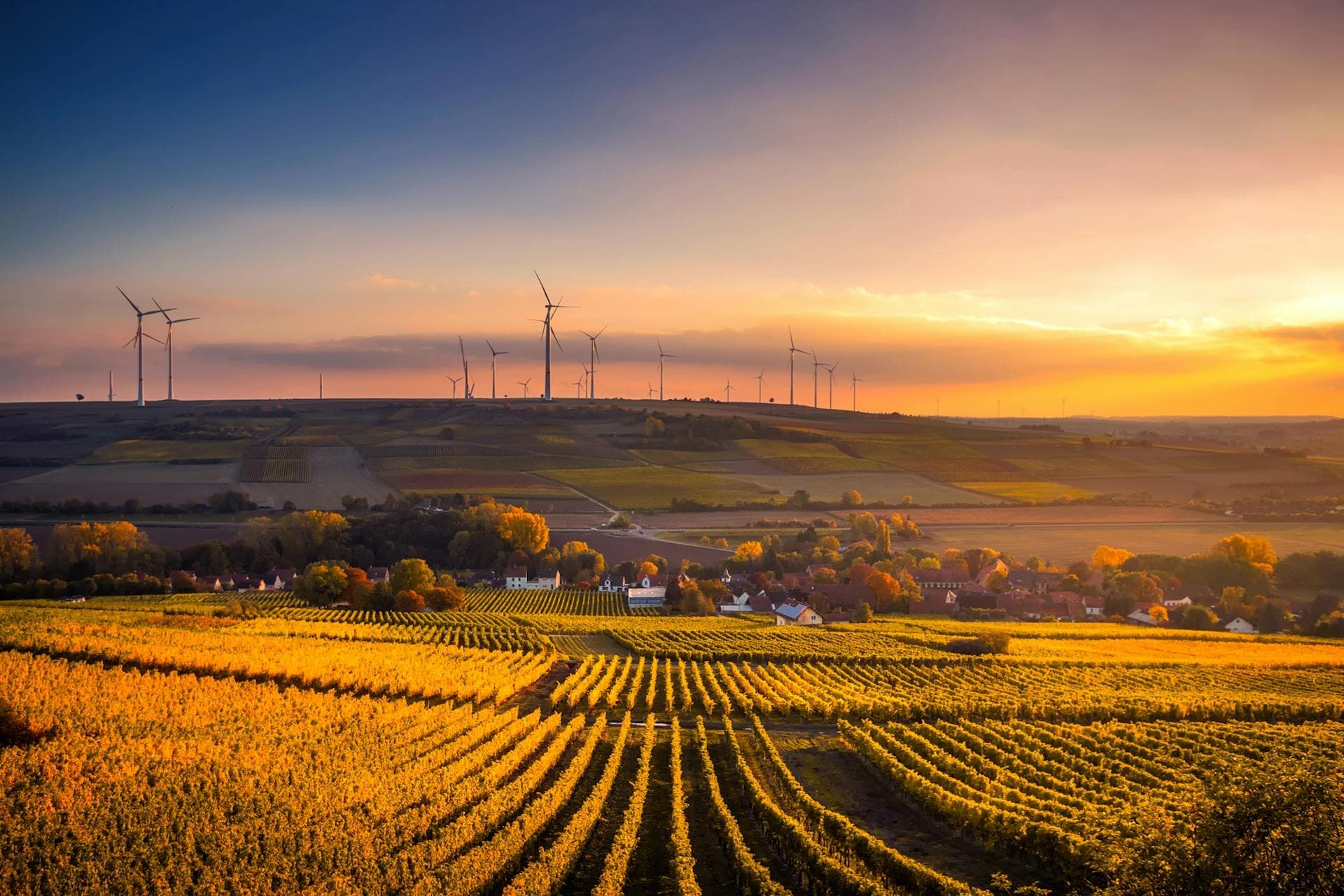 Surveying & Environmental Services